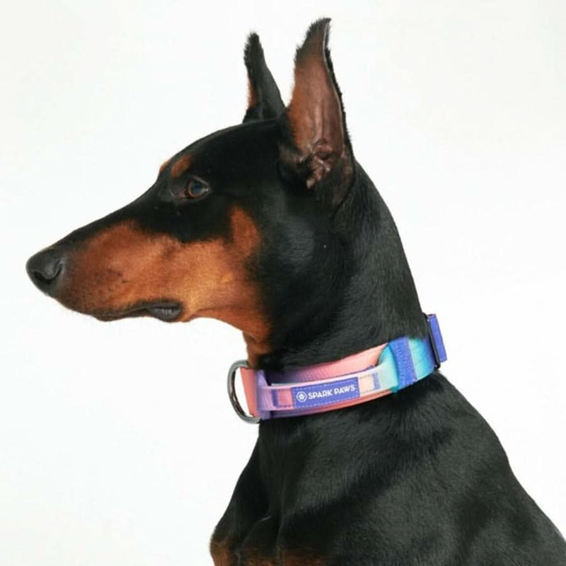 Taktisches Halsband für große Hunde - Kaleidoskop
