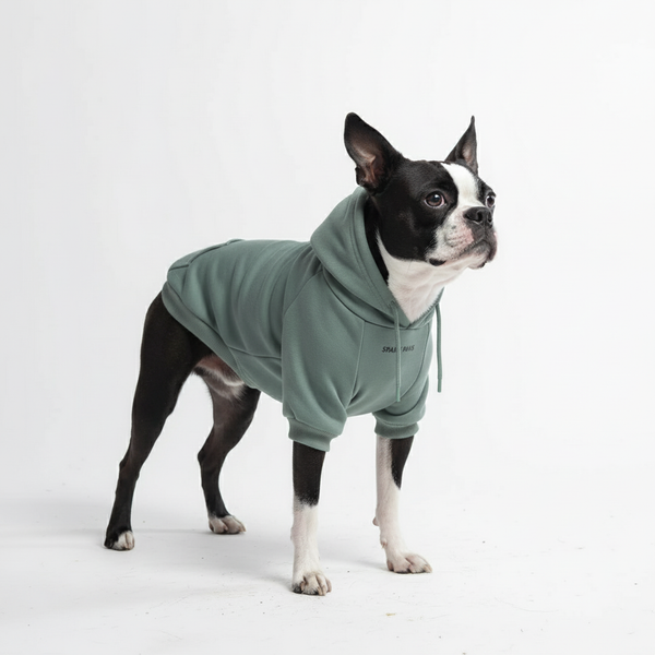 Essentielles Hunde Hoodie - Türkis