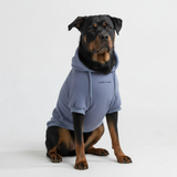 Essentielles Hunde Hoodie - Schieferblau