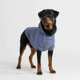 Essentielles Hunde Hoodie - Schieferblau