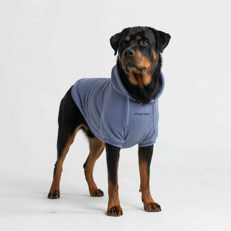 Essentielles Hunde Hoodie - Schieferblau