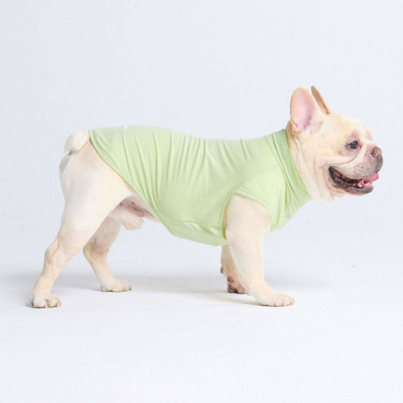 Sunblock Hunde-T-Shirt - Hellgrün