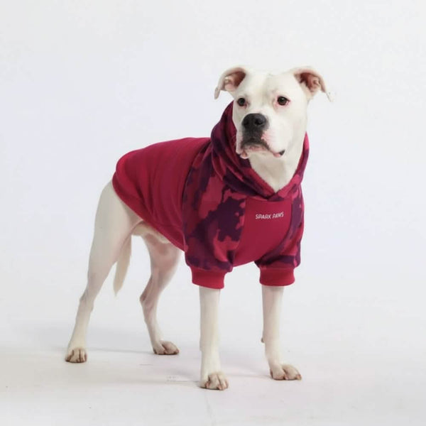 Fuchsiafarbene Tarn-Hundehoodie