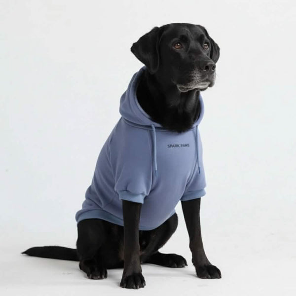 Essentielles Hunde Hoodie - Schieferblau