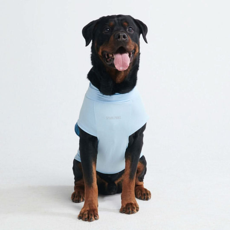 Sunblock Hunde-T-Shirt – Blau