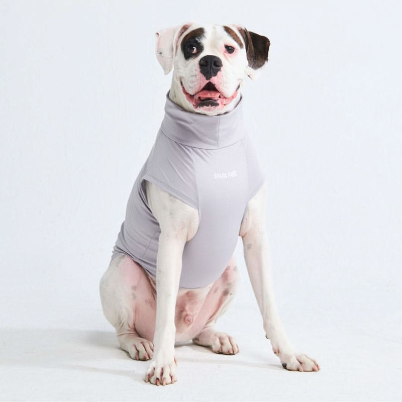 Sunblock Hunde-T-Shirt – Grau