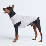 Sunblock Hunde-T-Shirt – Grau