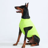 Sunblock Hunde-T-Shirt – Neon