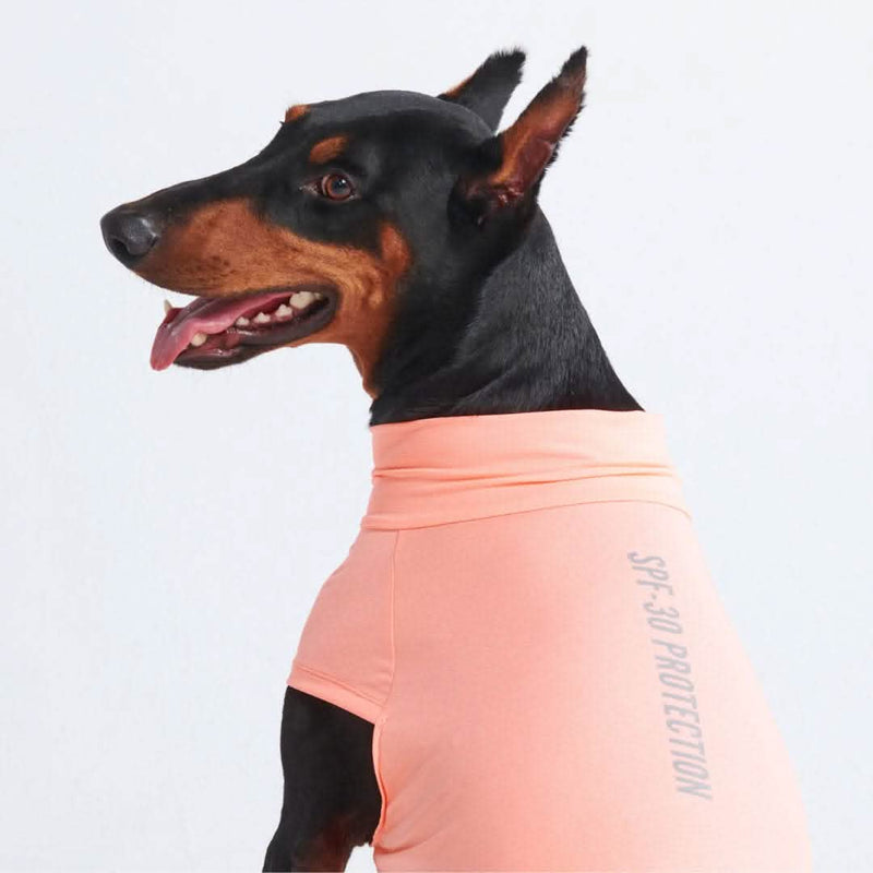 Sunblock Hunde-T-Shirt – Pfirsich