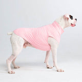 Sunblock Hunde-T-Shirt – Rosa