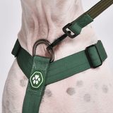 Komfort-Kontrolle No-Pull Hundegeschirr - Grün