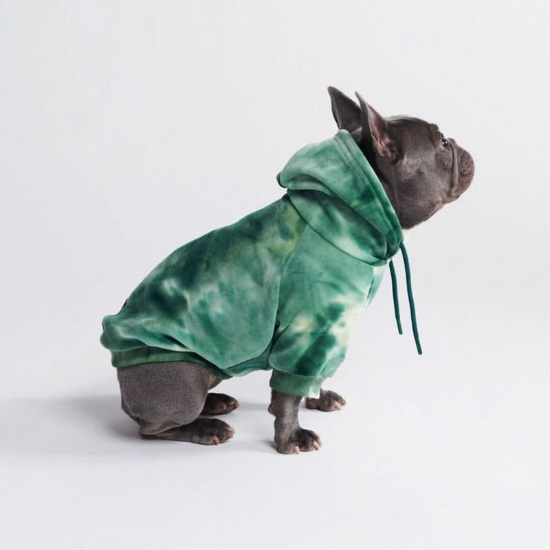 Samtiger Hunde Hoodie - Smaragdgrün