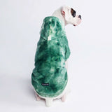Samtiger Hunde Hoodie - Smaragdgrün