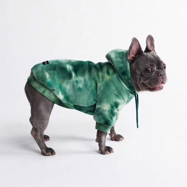 Samtiger Hunde Hoodie - Smaragdgrün