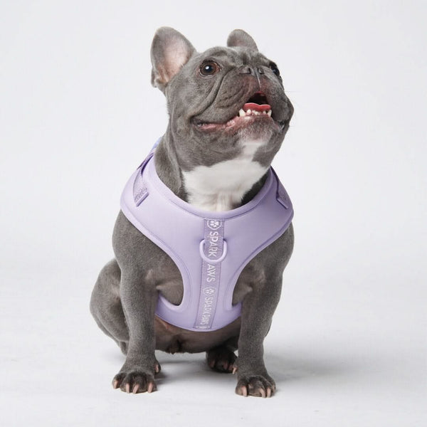 Superweiches Activewear Hundegeschirr - Lila