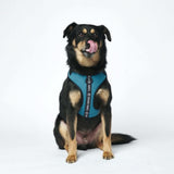 Superweiches Activewear Hundegeschirr - Blau