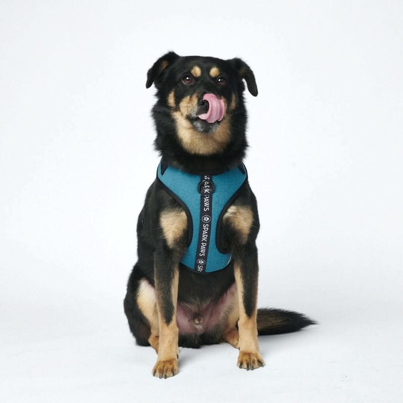 Superweiches Activewear Hundegeschirr - Blau