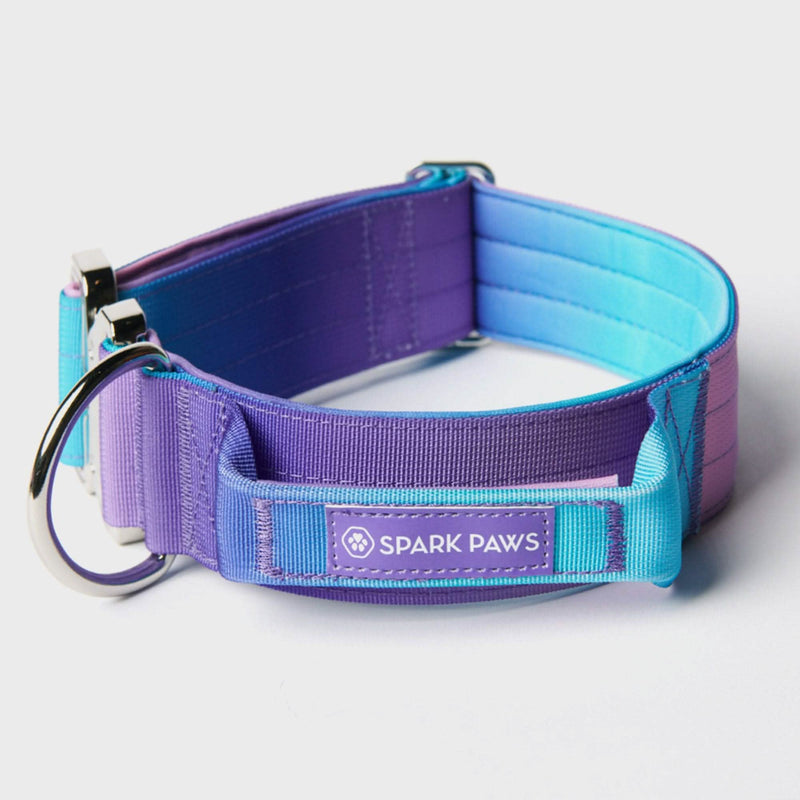 Taktisches Hundehalsband - und Leinen-Set - 90s Retro