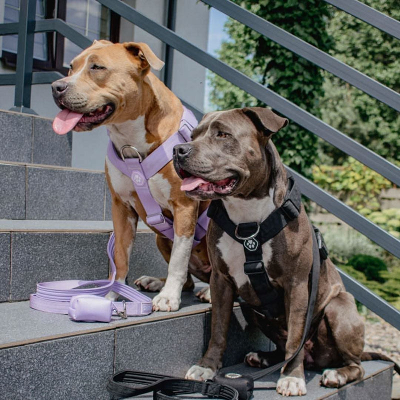 Komfort-Kontrolle No-Pull Hundegeschirr - Schwarz