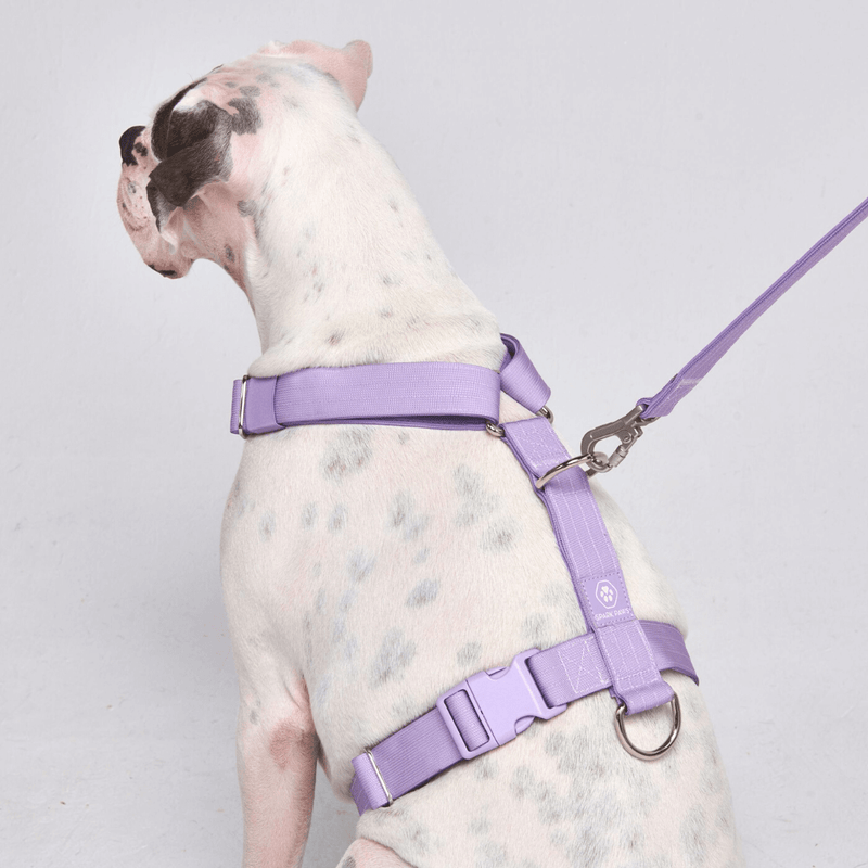 Komfort-Kontrolle No-Pull Hundegeschirr - Flieder