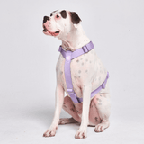Komfort-Kontrolle No-Pull Hundegeschirr - Flieder