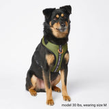 Superweiches Activewear Hundegeschirr - Grün
