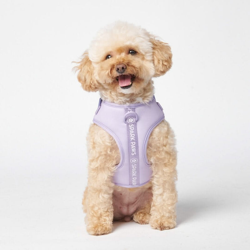 Superweiches Activewear Hundegeschirr - Lila