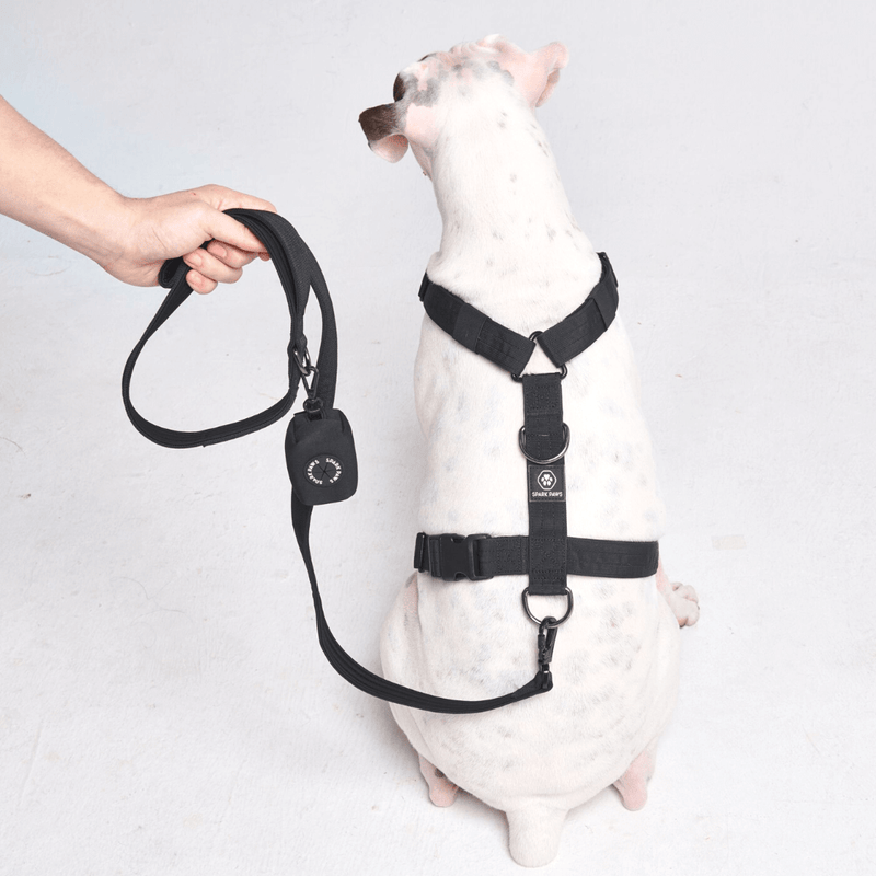 Komfort-Kontrolle No-Pull Hundegeschirr - Schwarz