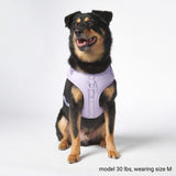 Superweiches Activewear Hundegeschirr - Lila