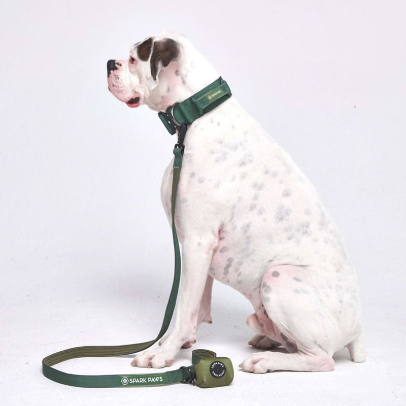 Taktisches Hundehalsband - und Leinen-Set - Grün