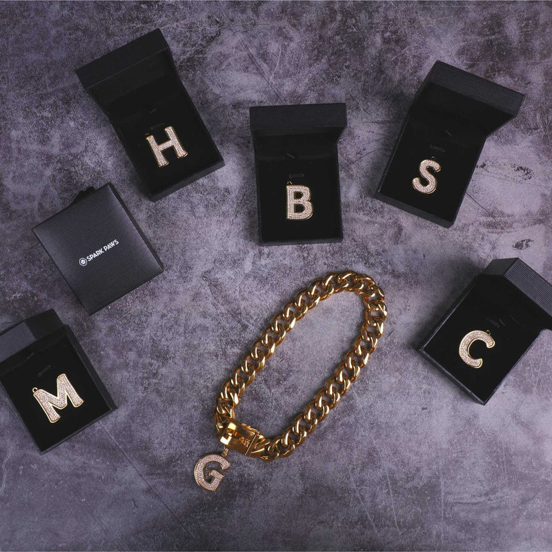 Hundeschmuck Buchstabenanhänger - G
