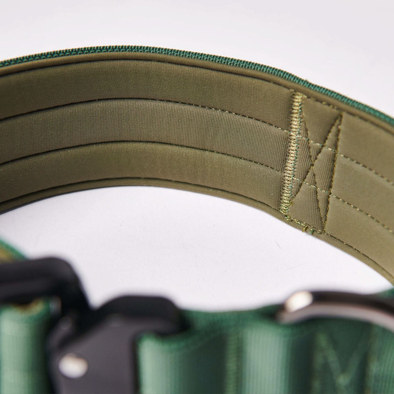 Taktisches Hundehalsband - und Leinen-Set - Grün