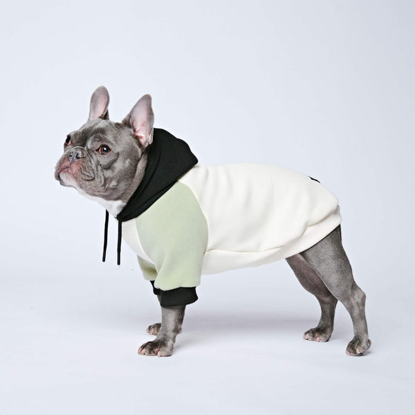 Oliv Creme Hunde Hoodie