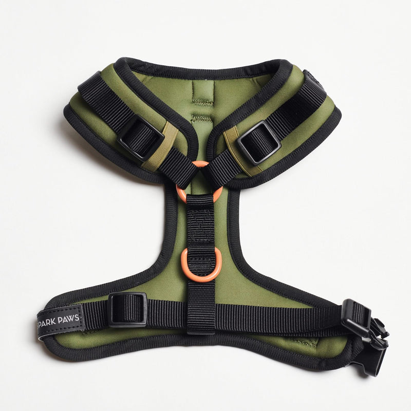 Super weiches Activewear Gassi-Set - Grün