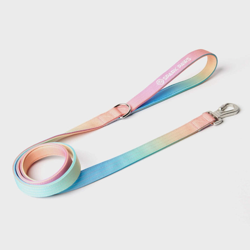Taktisches Hundehalsband - und Leinen-Set - Pastellglasur