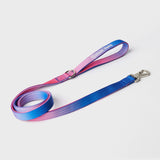 Taktisches Hundehalsband - und Leinen-Set - Rosa-Blau