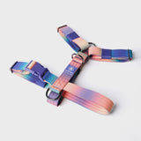 Komfort-Kontrolle No-Pull Hundegeschirr set - Kaleidoskop
