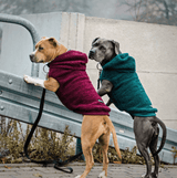 Teddy Sherpa Hundejacke - Tannengrün