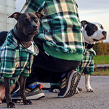 Grün-karierter Hunde Hoodie