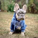 Velvet Human Kapuzenpullover - Saphirblau
