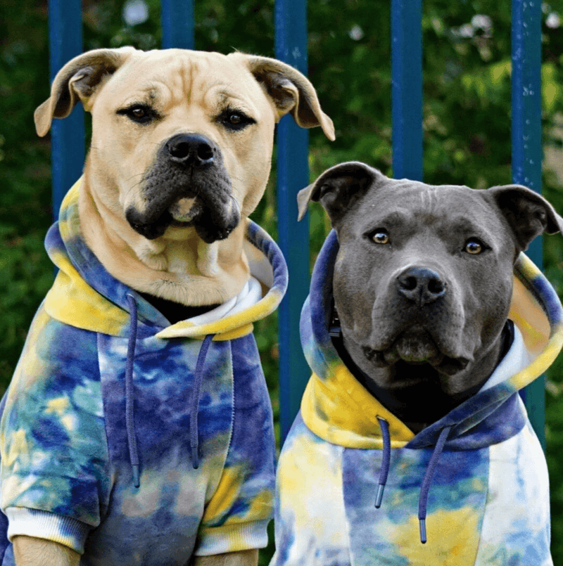 Samtiger Hunde Hoodie - Nova