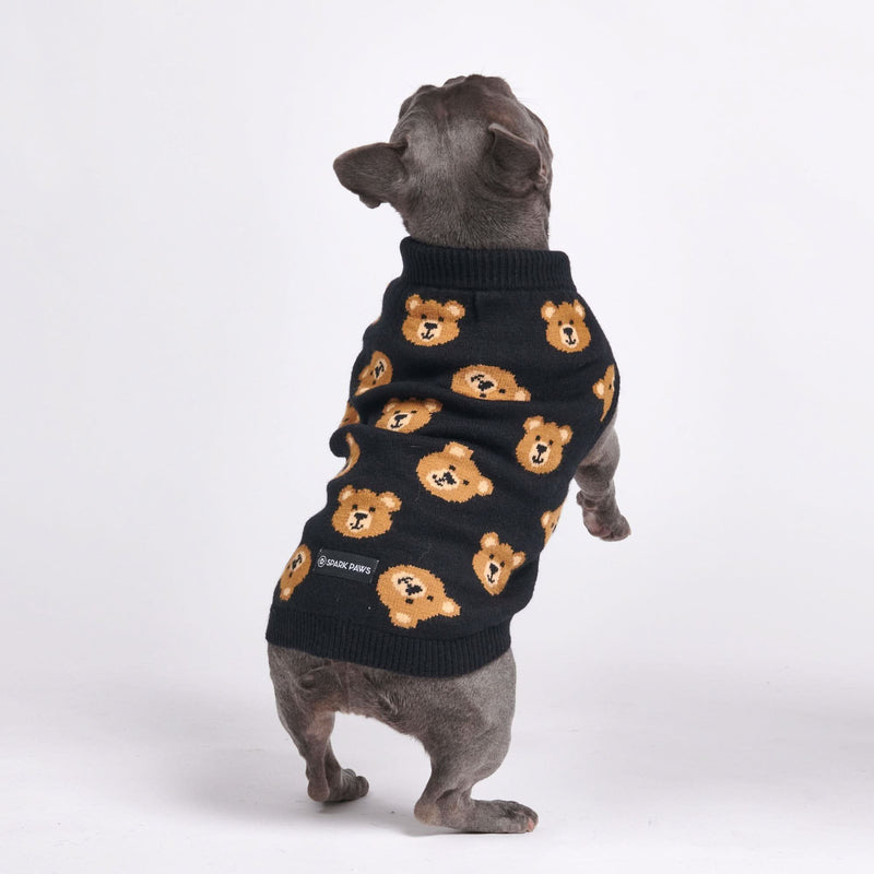 Gestrickter Hundepullover - Kaputtes Teddybär