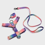 Komfort-Kontrolle No-Pull Hundegeschirr set - Kaleidoskop