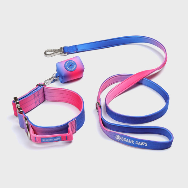 Taktisches Hundehalsband - und Leinen-Set - Rosa-Blau