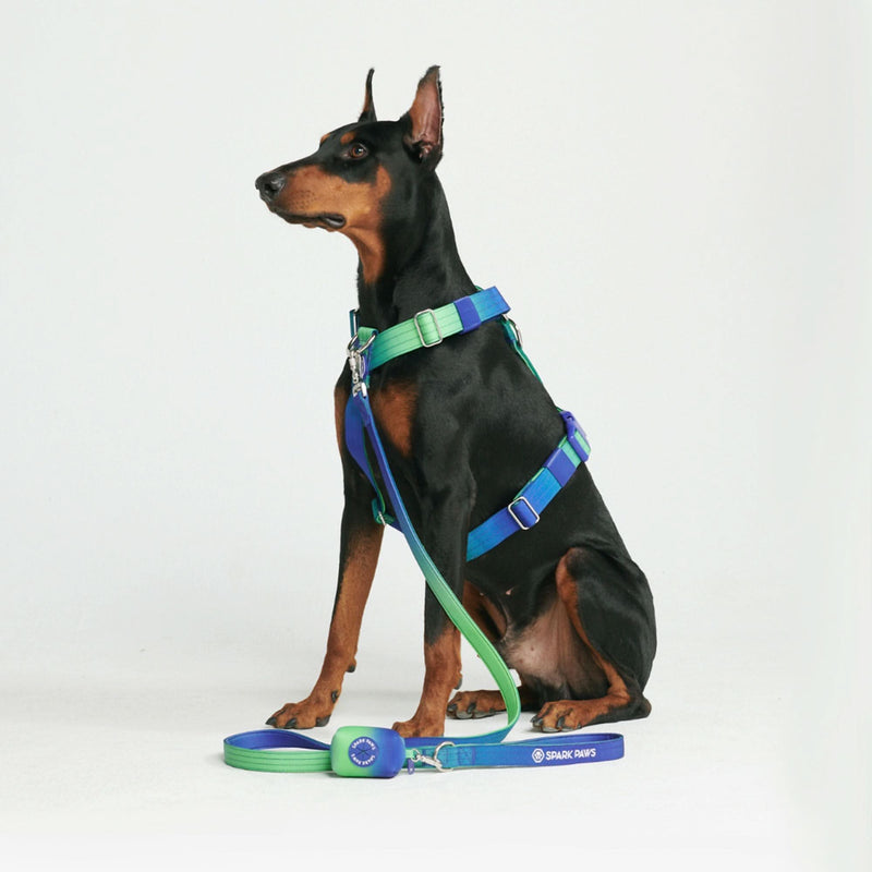 Komfort-Kontrolle No-Pull Hundegeschirr set - Limewelle