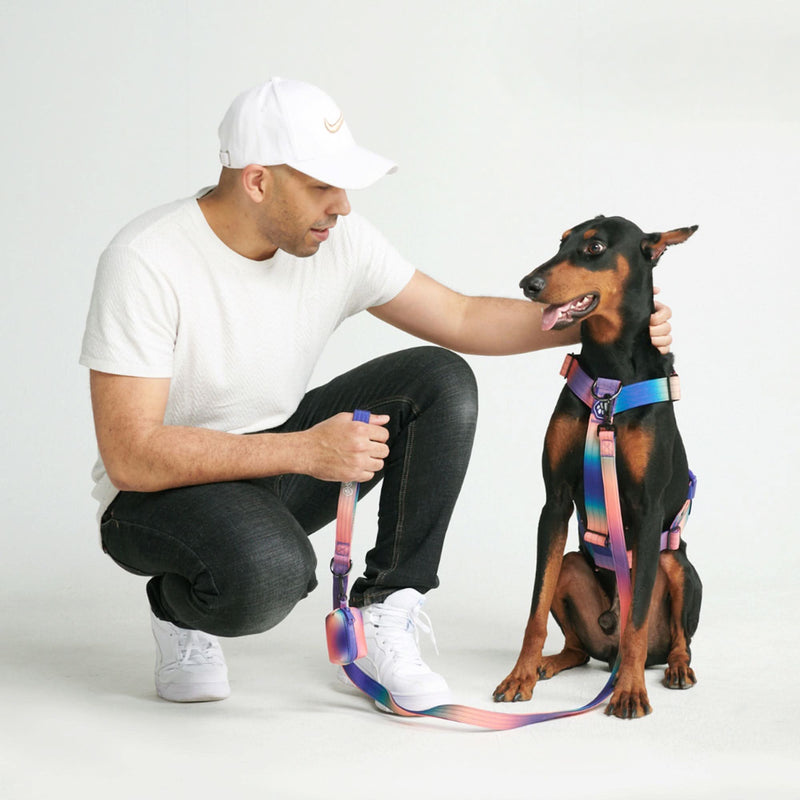 Komfort-Kontrolle No-Pull Hundegeschirr - Kaleidoskop