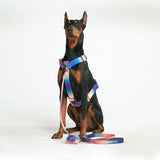 Komfort-Kontrolle No-Pull Hundegeschirr set - Kaleidoskop