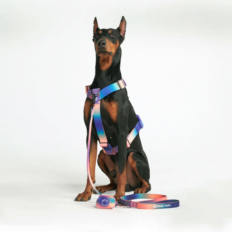 Komfort-Kontrolle No-Pull Hundegeschirr set - Kaleidoskop