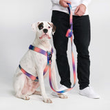 Komfort-Kontrolle No-Pull Hundegeschirr set - Kaleidoskop