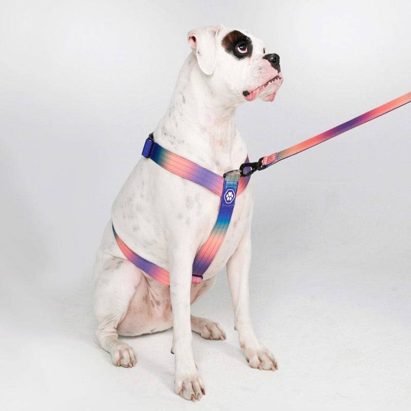 Komfort-Kontrolle No-Pull Hundegeschirr - Kaleidoskop
